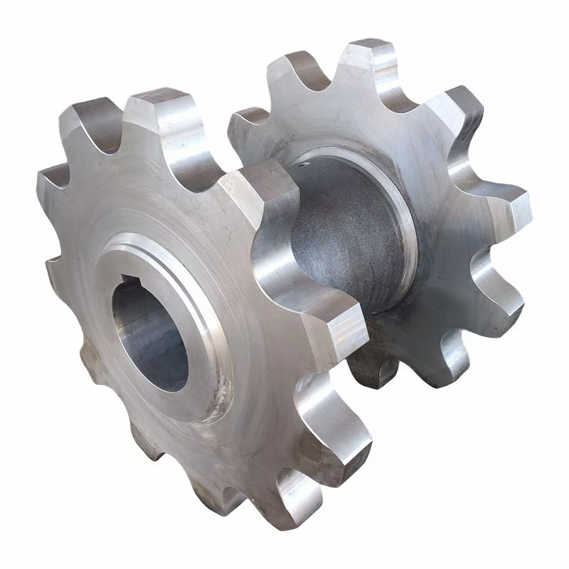Double-Row Stainless Steel Roller Sprocket