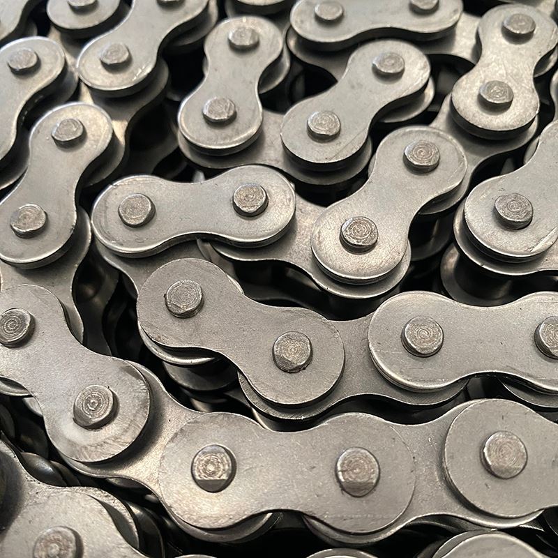Multiplex Roller Chain