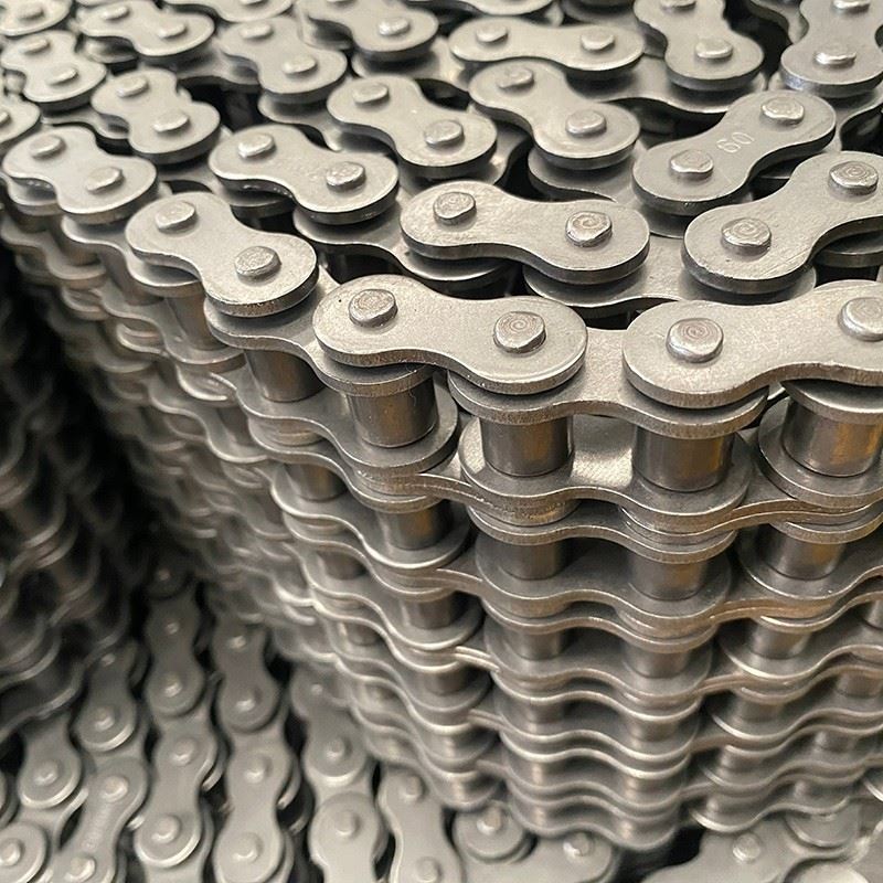 Multiplex Roller Chain factory