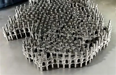 Double-side Extended Pin Chain